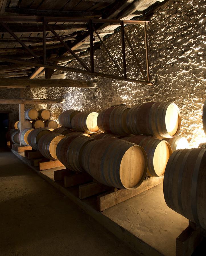 Maison Le Sepe - Vignoble Bio Et Maison D'Hotes Sainte-Radegonde  Zewnętrze zdjęcie